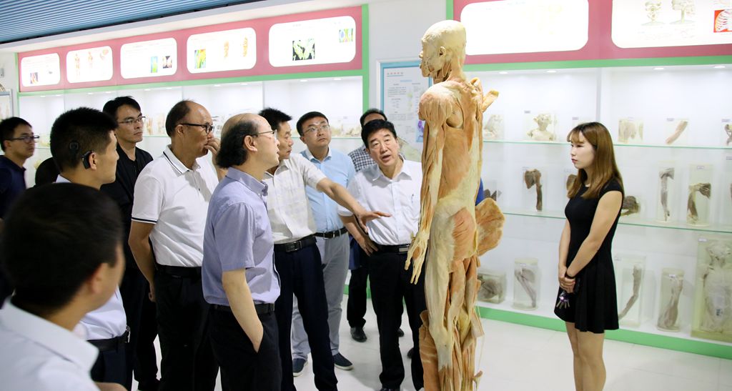 1542348371.jpg IMG_1013_副本.jpg